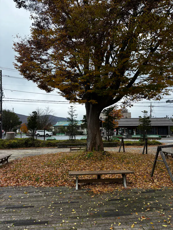 Mount Fuji trip photo 2