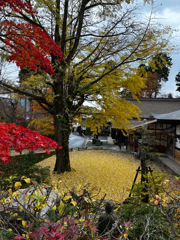 Mount Fuji trip photo 3